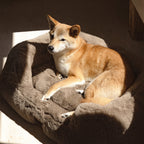 The Lola Pet Bed