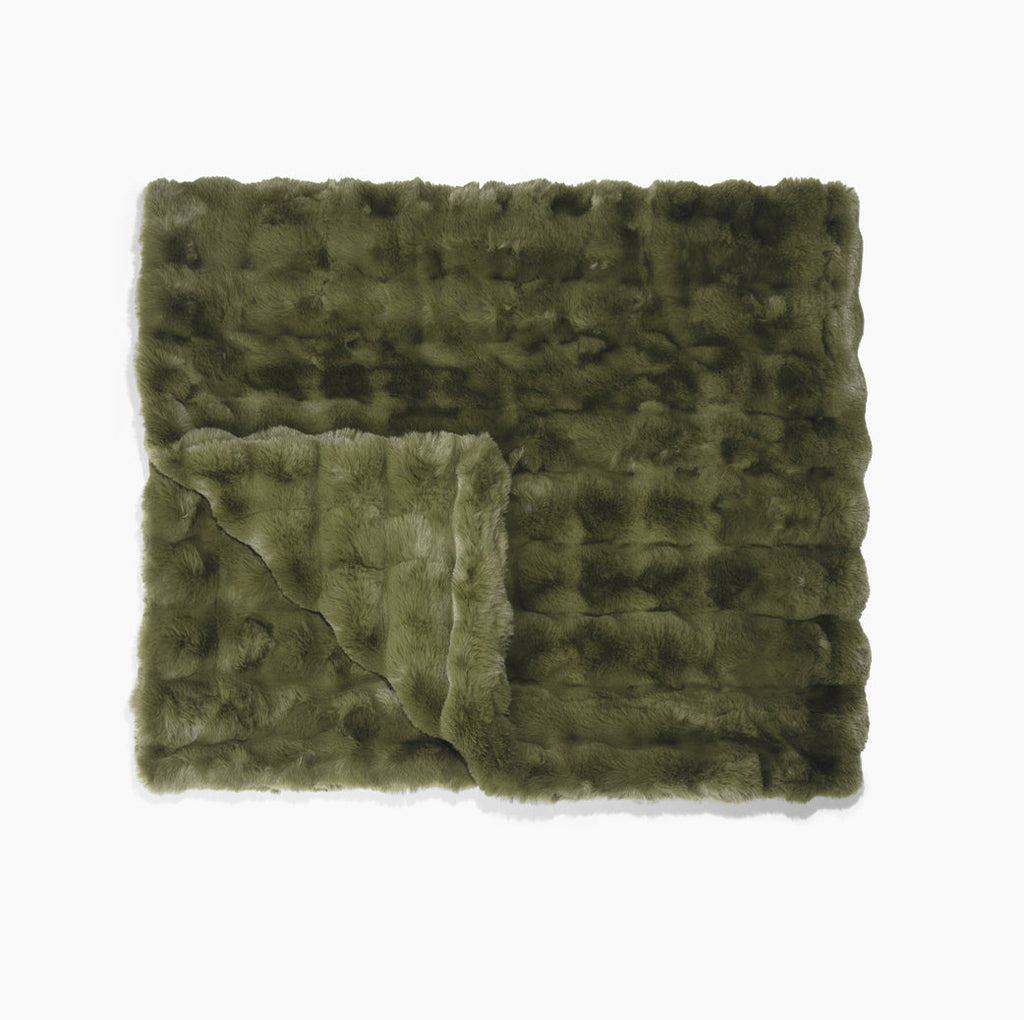 Fern Green
